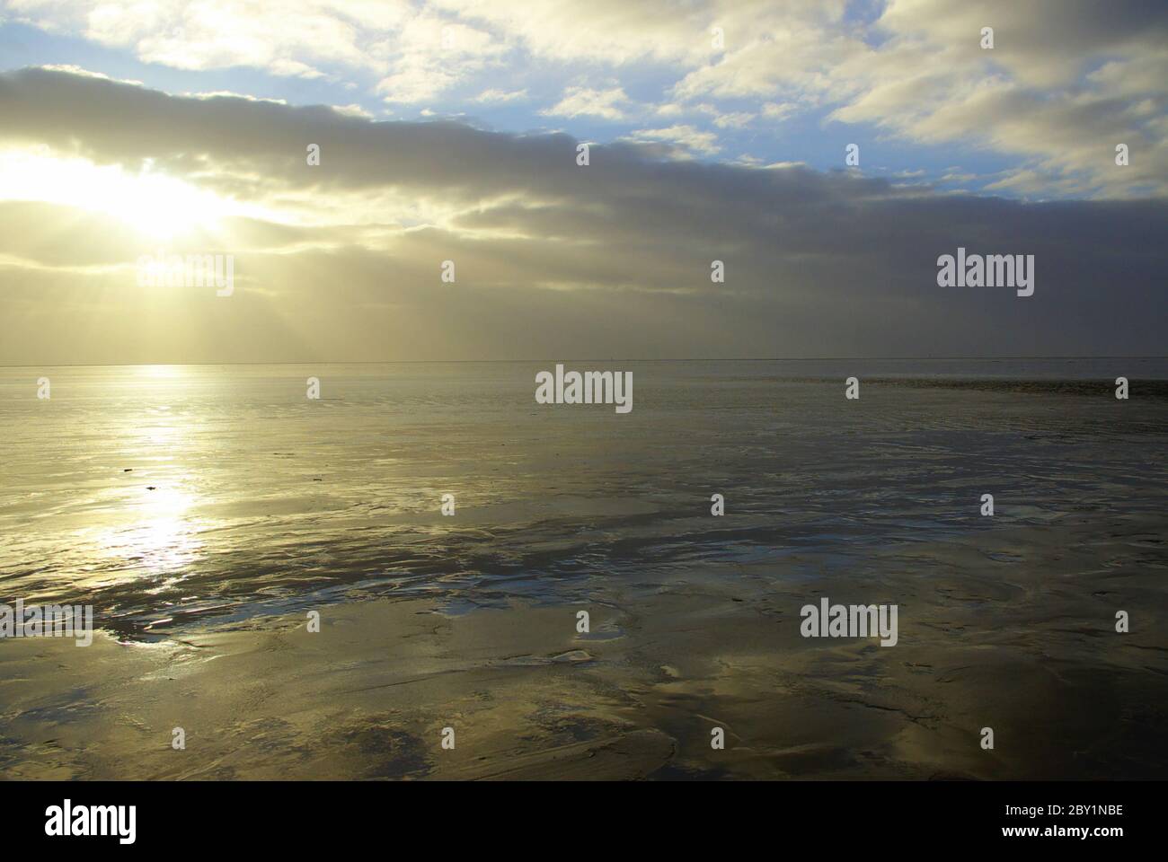 Wadden Sea Stock Photo