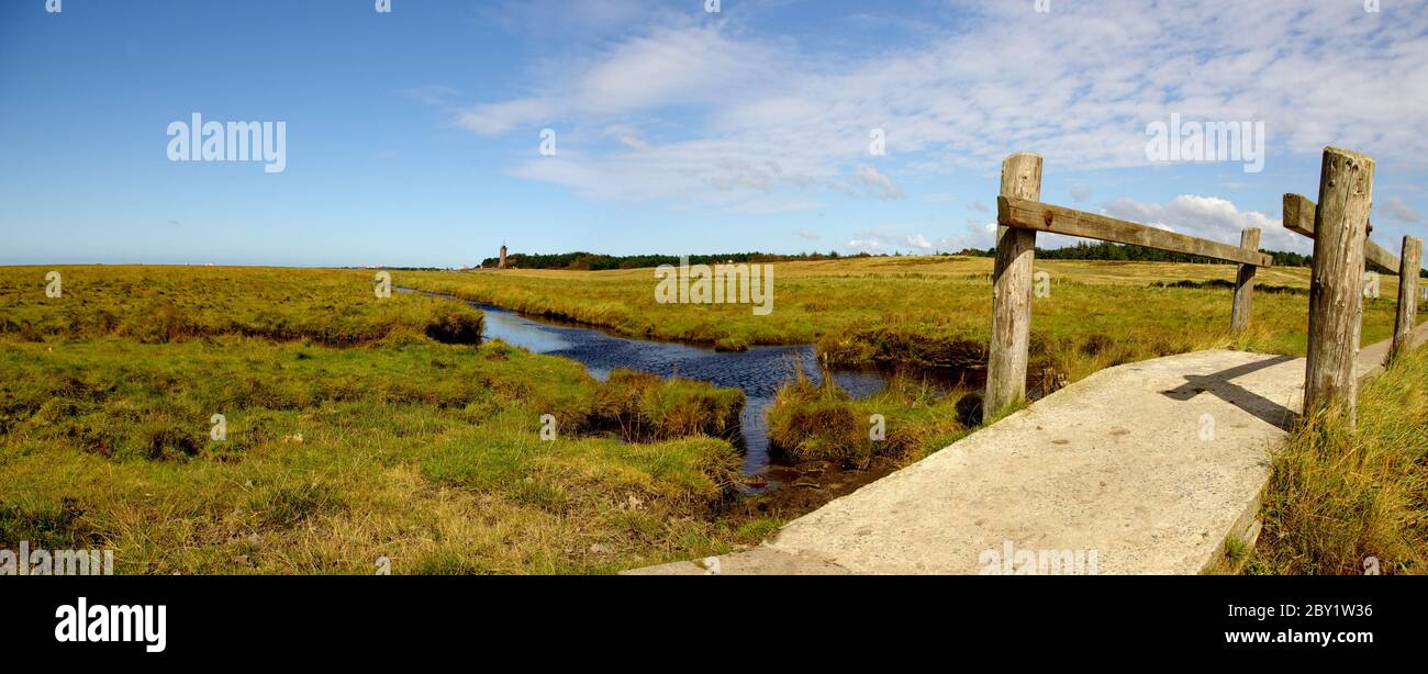 salt marshes Stock Photo