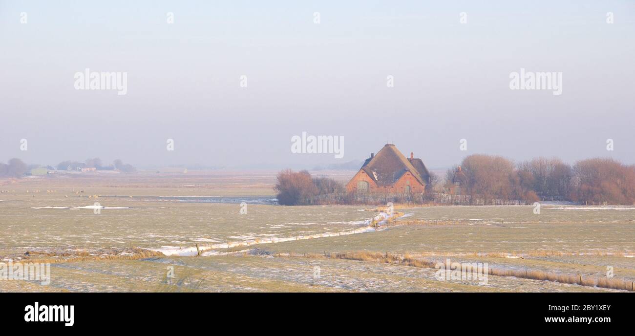 winter landscape Stock Photo