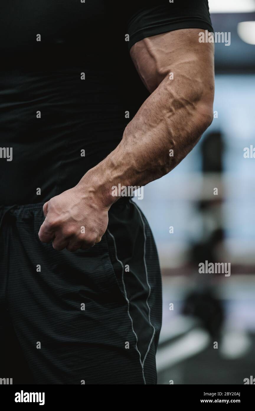 https://c8.alamy.com/comp/2BY20AJ/testosterone-concept-of-body-physique-part-of-strong-male-in-black-sportswear-showing-strong-arms-with-big-vein-during-gym-workout-2BY20AJ.jpg