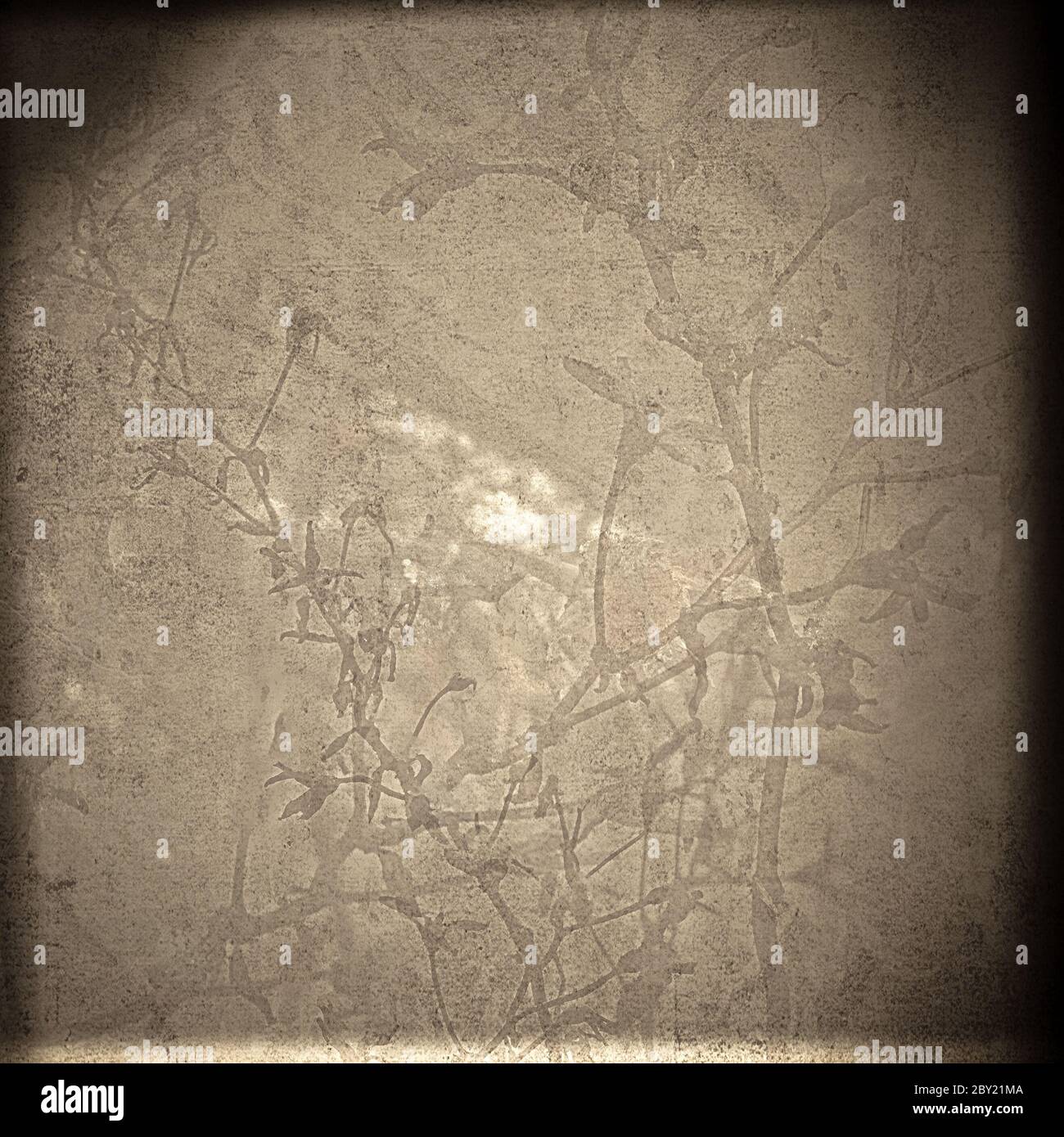 Delicate visual texture hi-res stock photography and images - Alamy