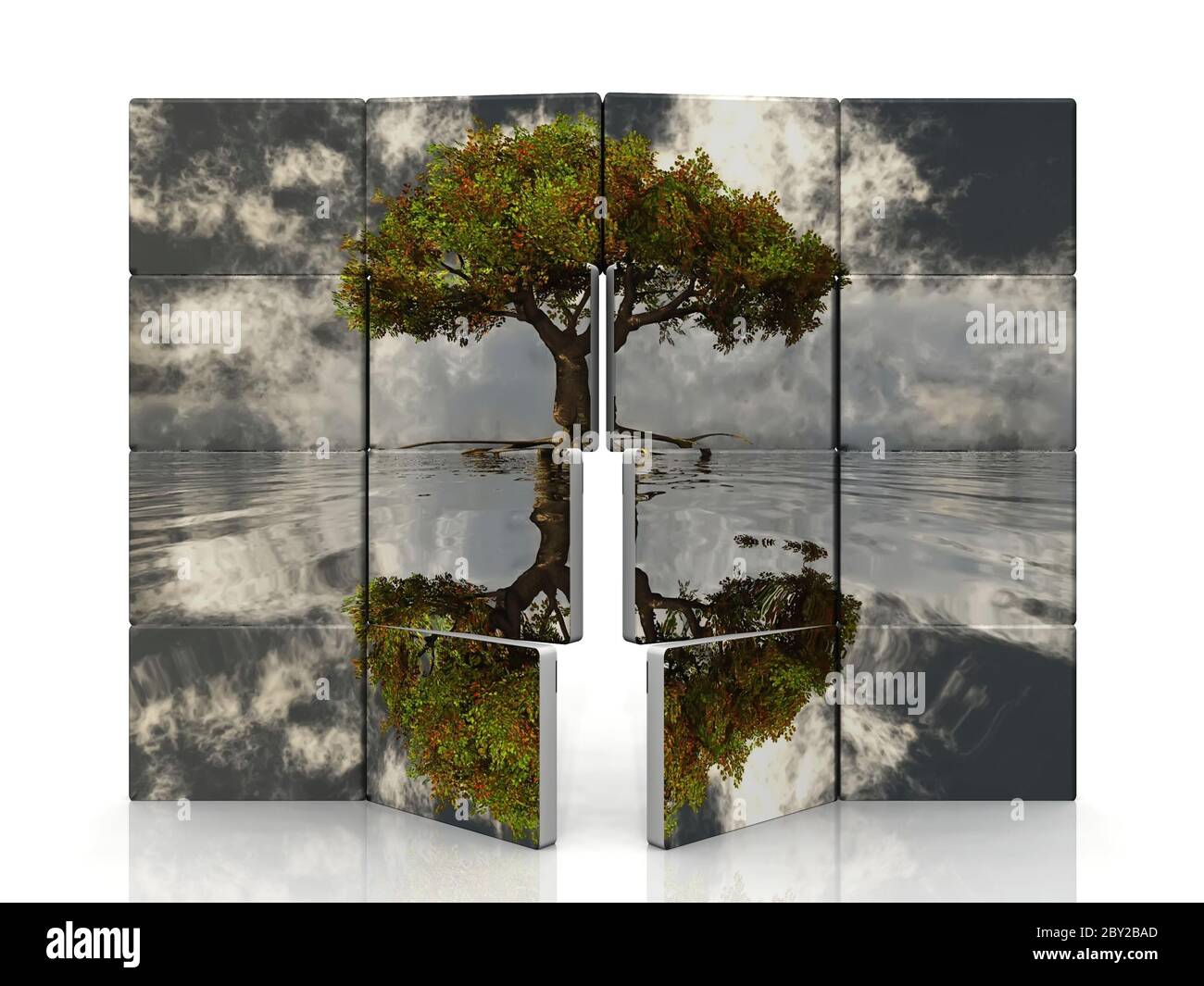 Tree background photos Cut Out Stock Images & Pictures - Alamy