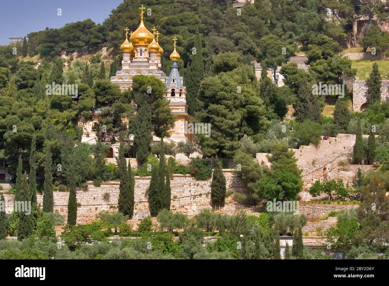 Gold domes. Stock Photo