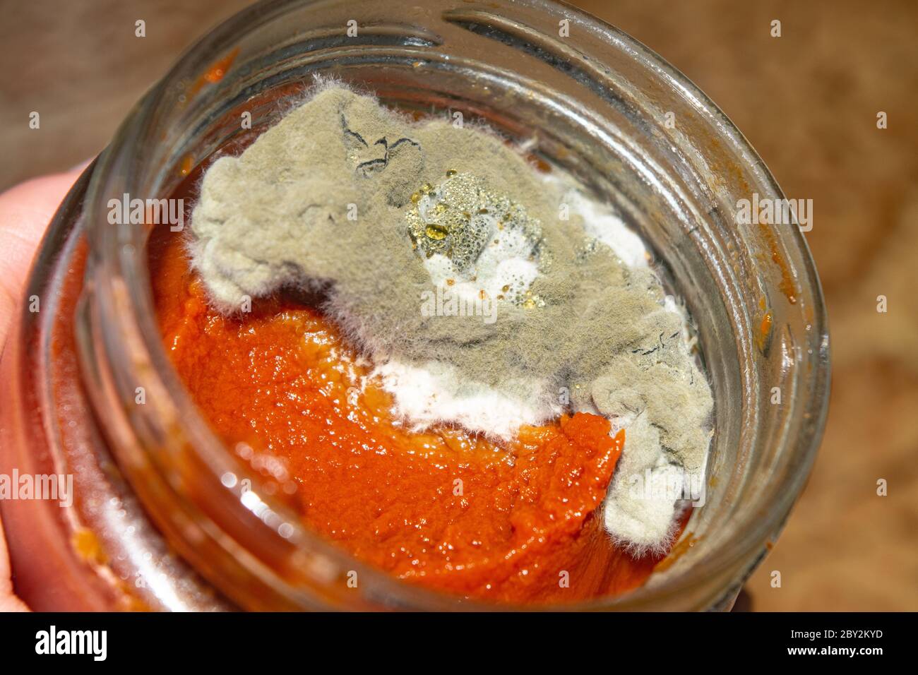 Mold growing on the tomato paste. Close up Stock Photo