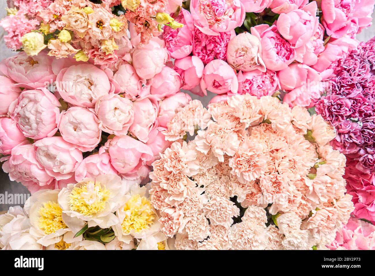 Floral Backgrounds Twitter