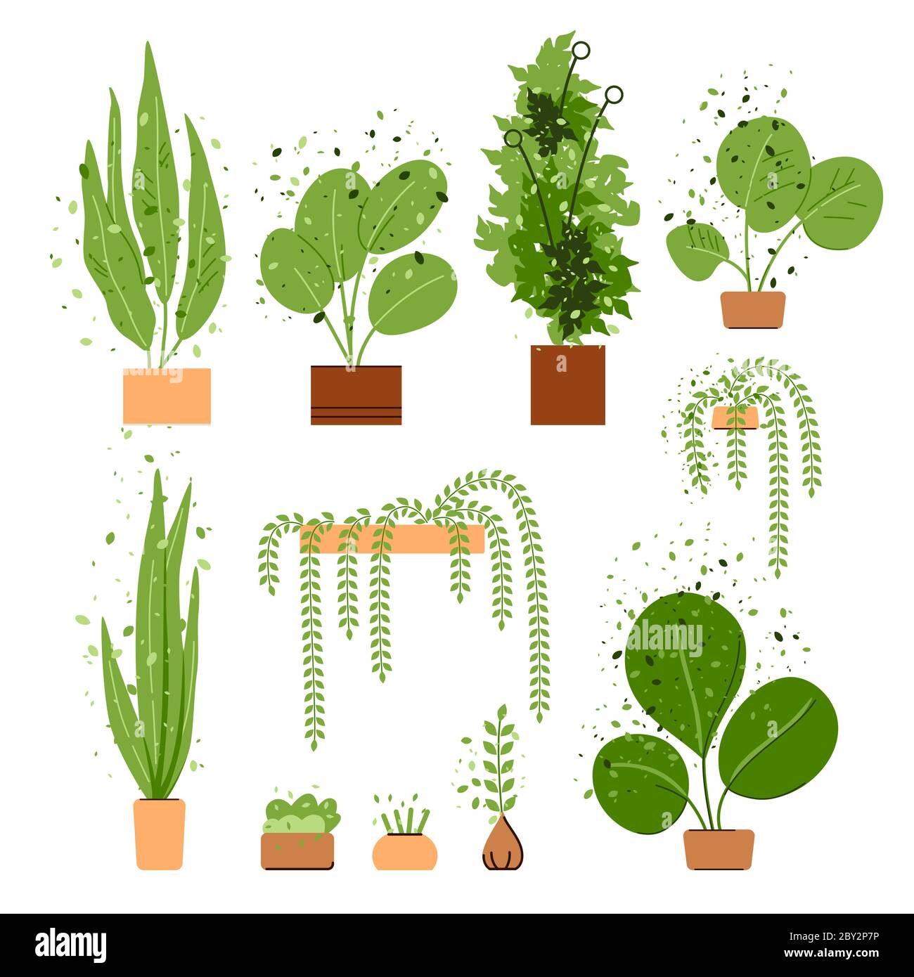 Vector flat interior house and office plant set. House and office trees and plants collection isolated on white. Cozy Interior plants, urban jungle Stock Vector