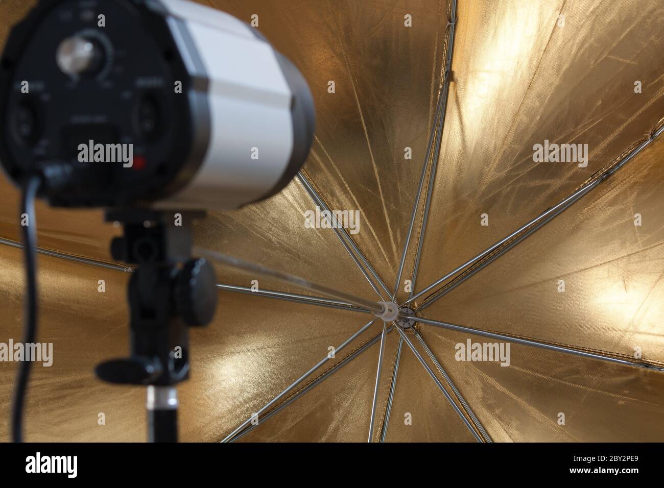 Studio flash in front of a gold reflective umbrell Stock Photo
