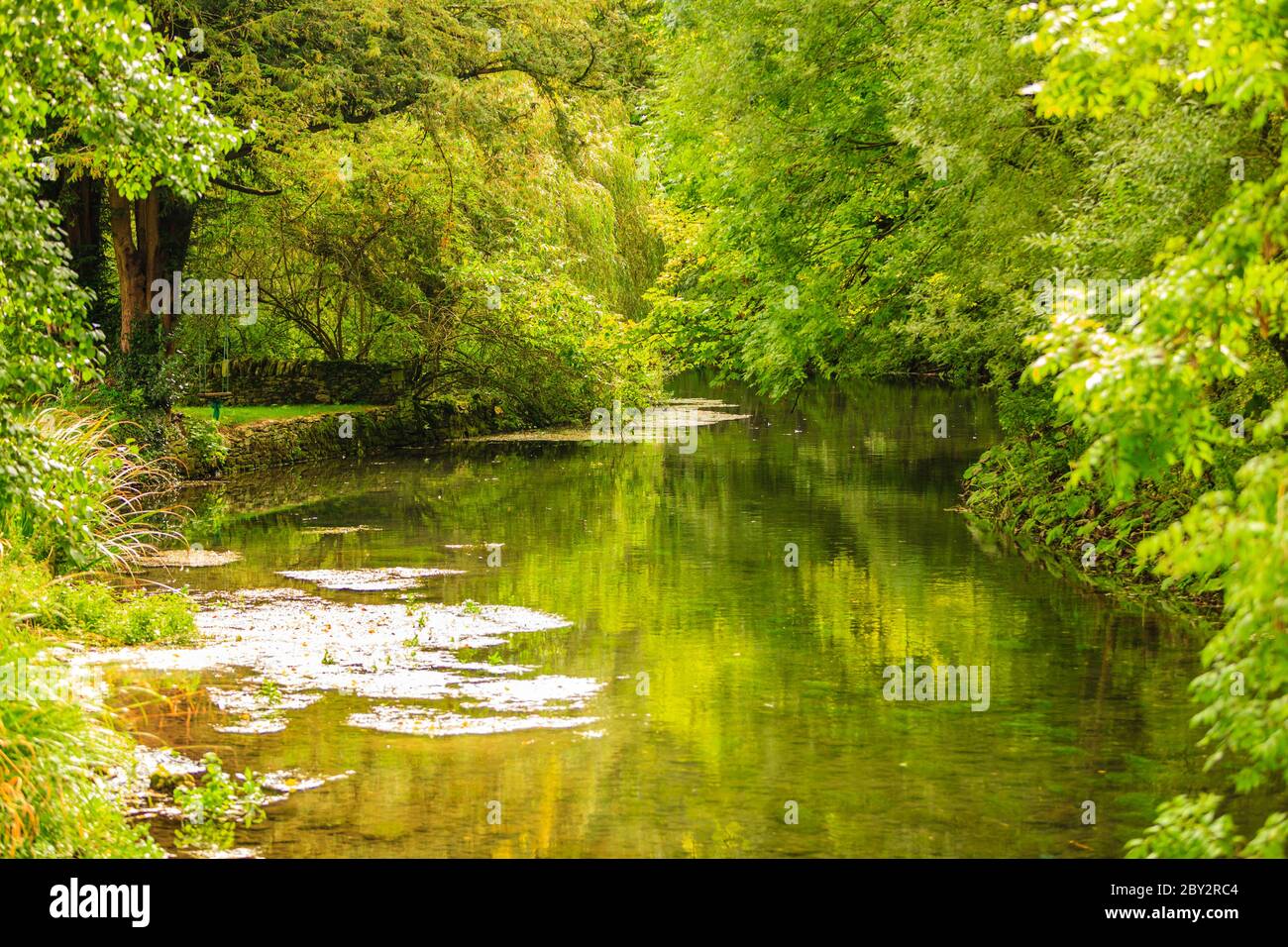 Hemingbrough Pond Beauty in nature. Summer park with pond or river and green trees on the ...