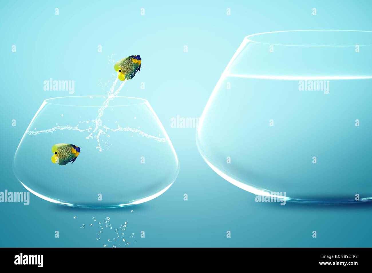 Anglefish in small fishbowl watching goldfish jump into large fishbowl Stock Photo