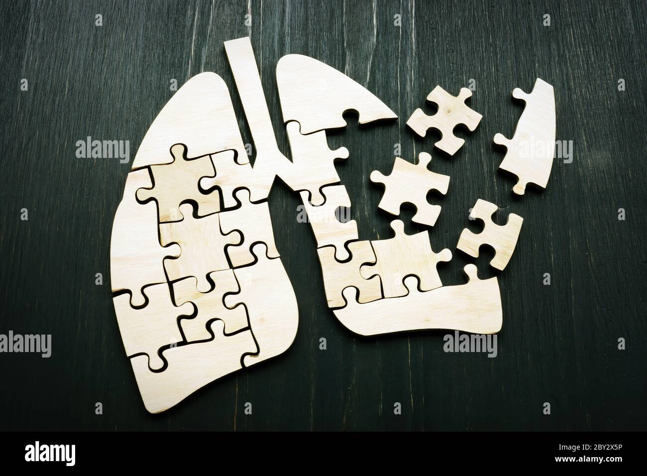 Human lung from puzzles as symbol of lung cancer or respiratory illness. Stock Photo