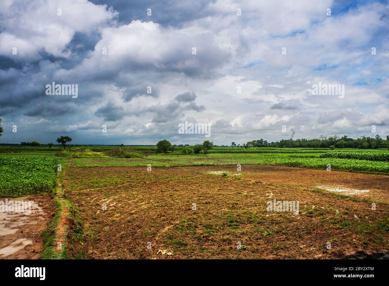 Cottong plantation hires stock photography and images Alamy