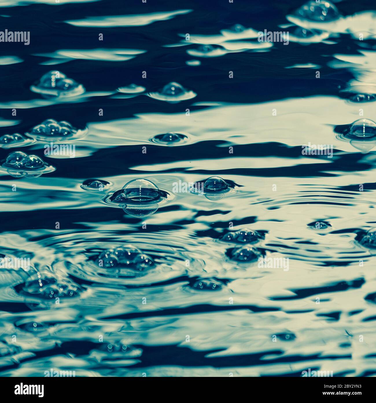 Floating bubbles on a garden pond Stock Photo Alamy