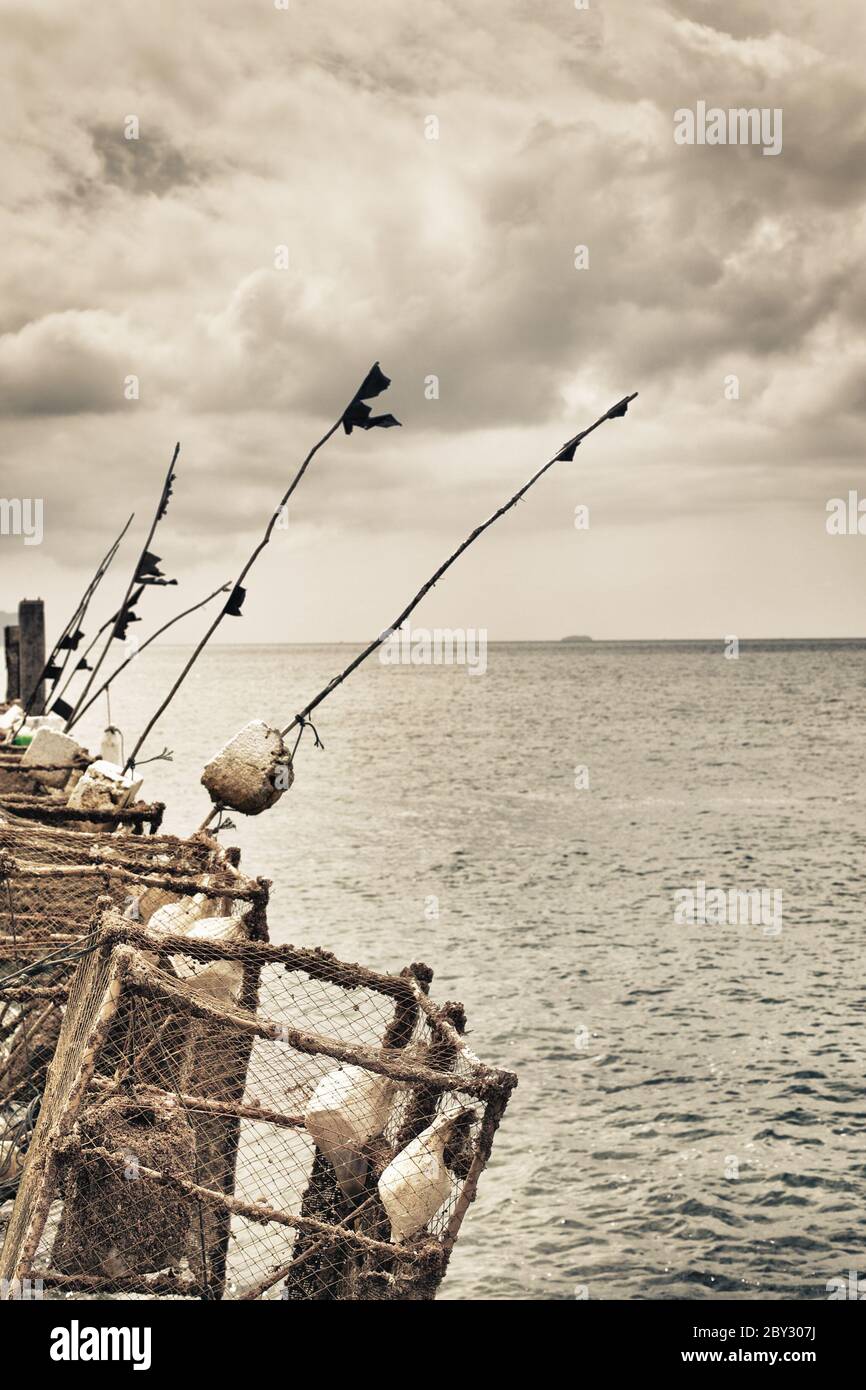 fishing from pier at clearwater beach florida,sea fishing,fishing rods,pier  fishing Stock Photo - Alamy