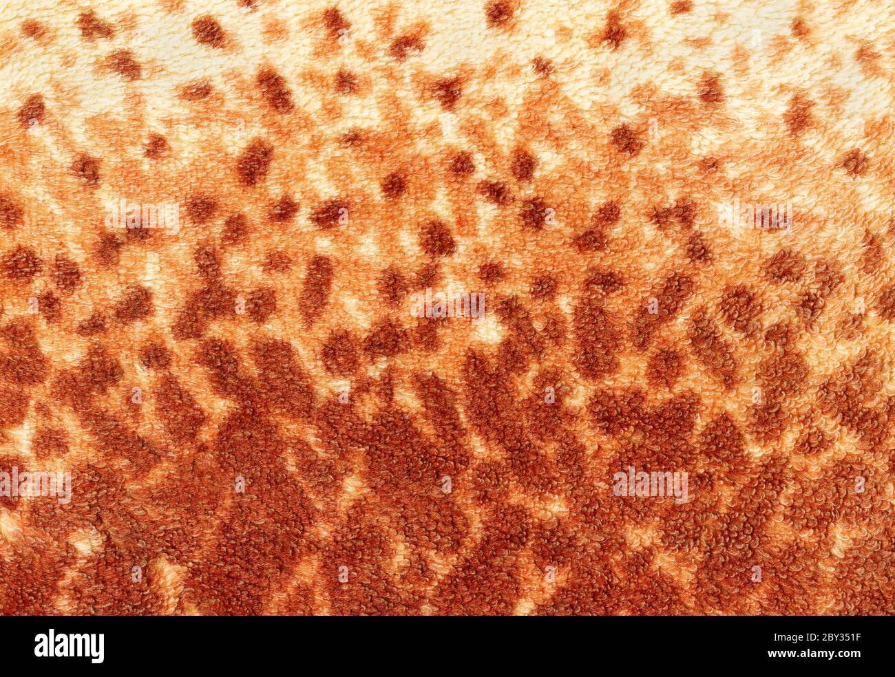 Leopard print wallpaper hires stock photography and images Alamy