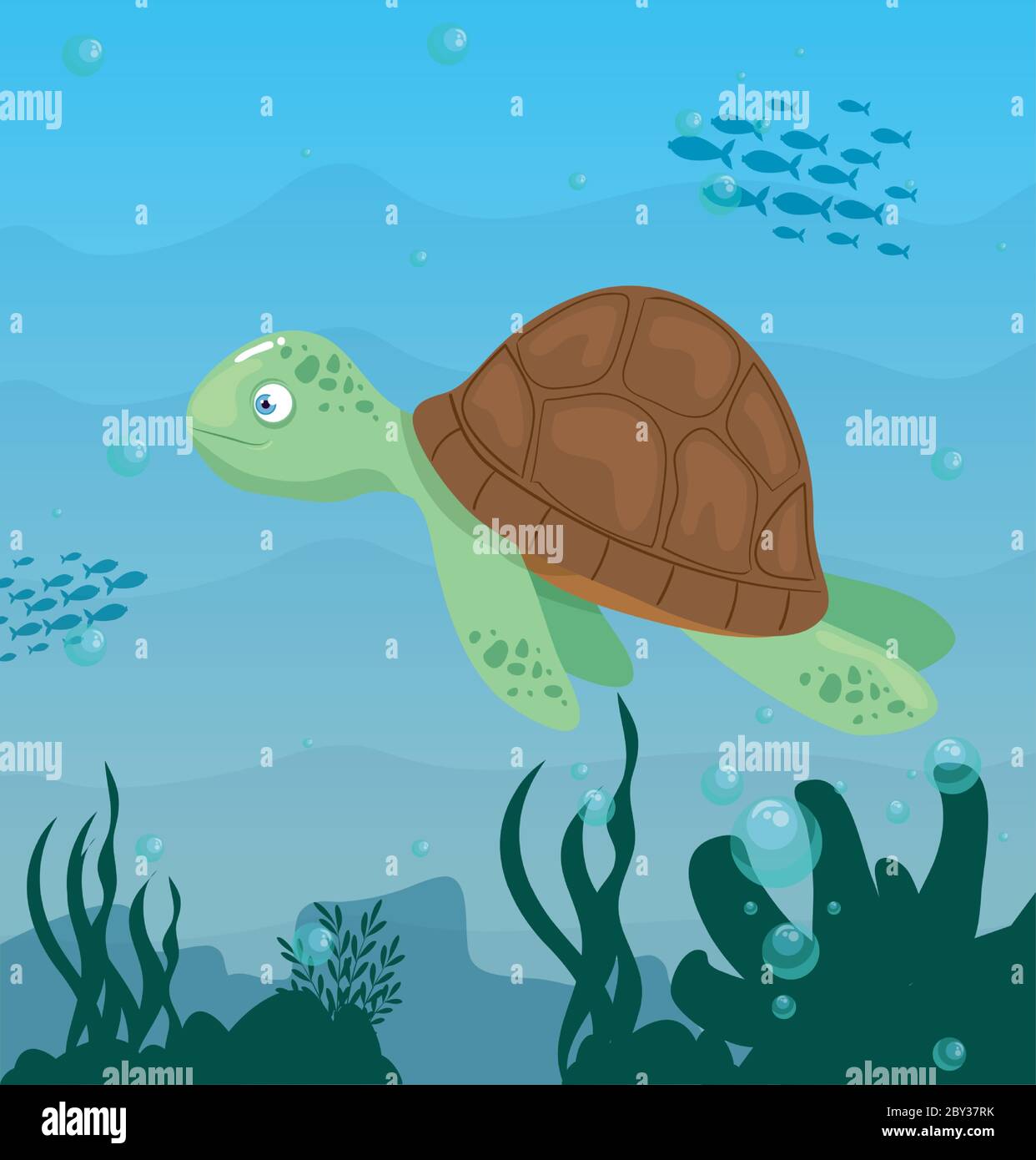 Worlds Cutest Sea Turtle