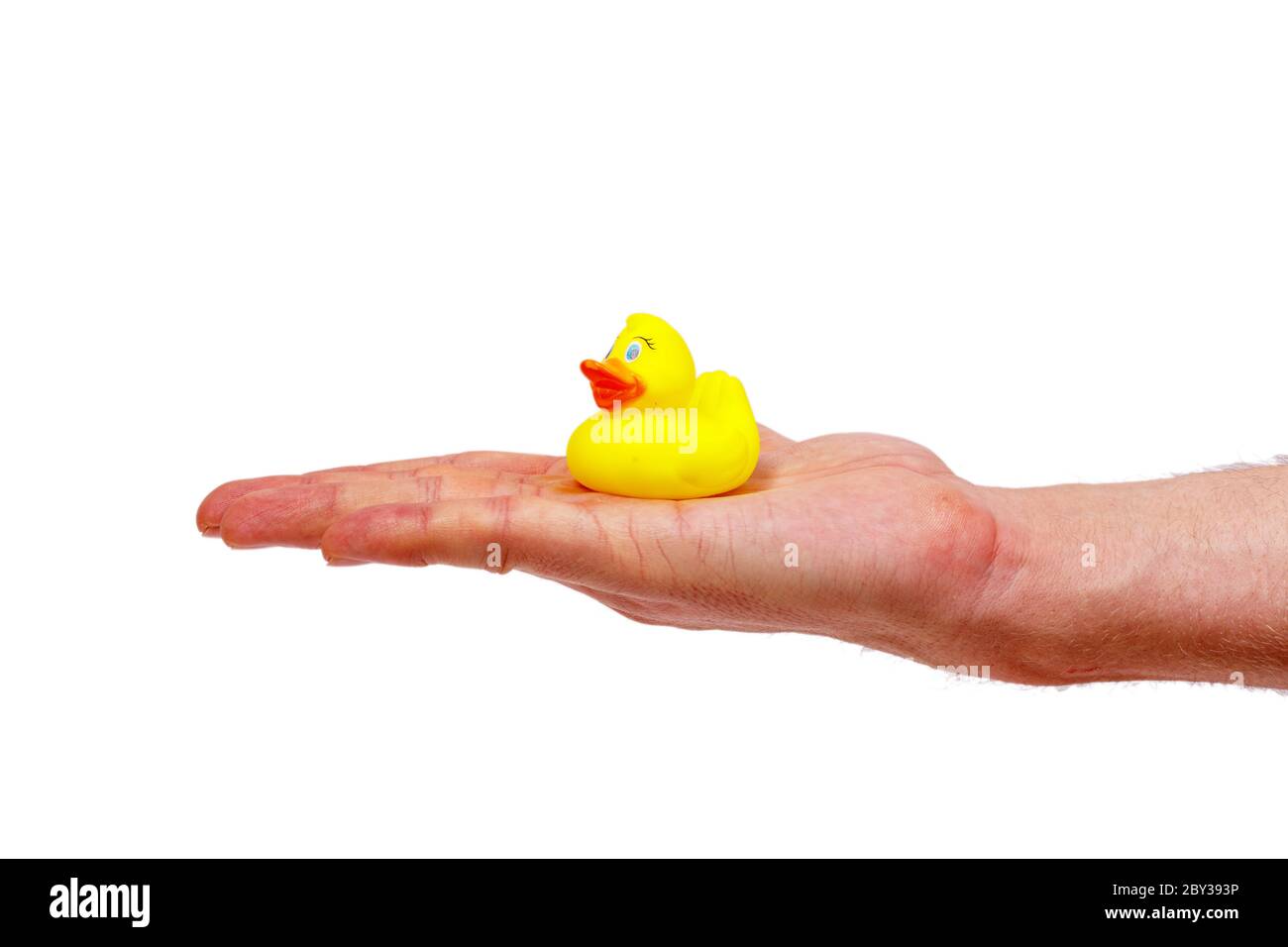 Male hand holding a rubber duck isolated on white background. Minimalistic concept. Stock Photo