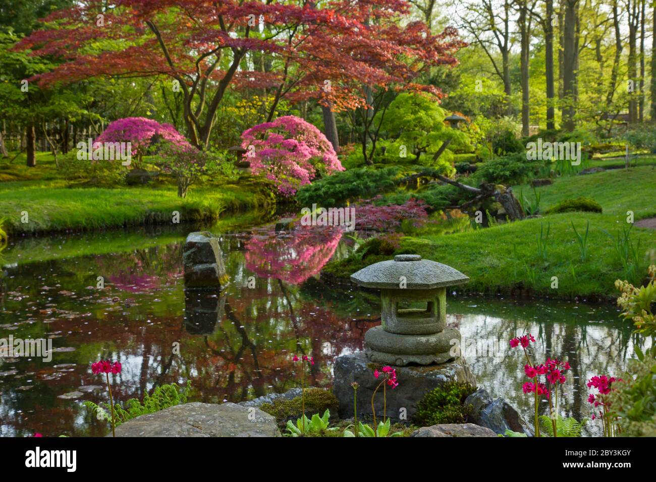 Japanese hedge hi-res stock photography and images - Alamy