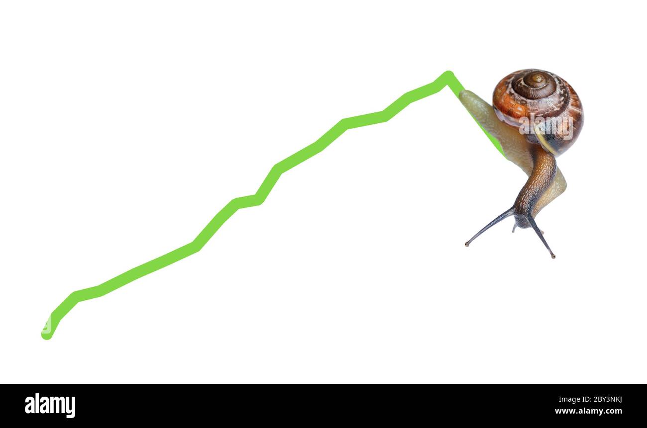 Snail on chart currency Stock Photo Alamy