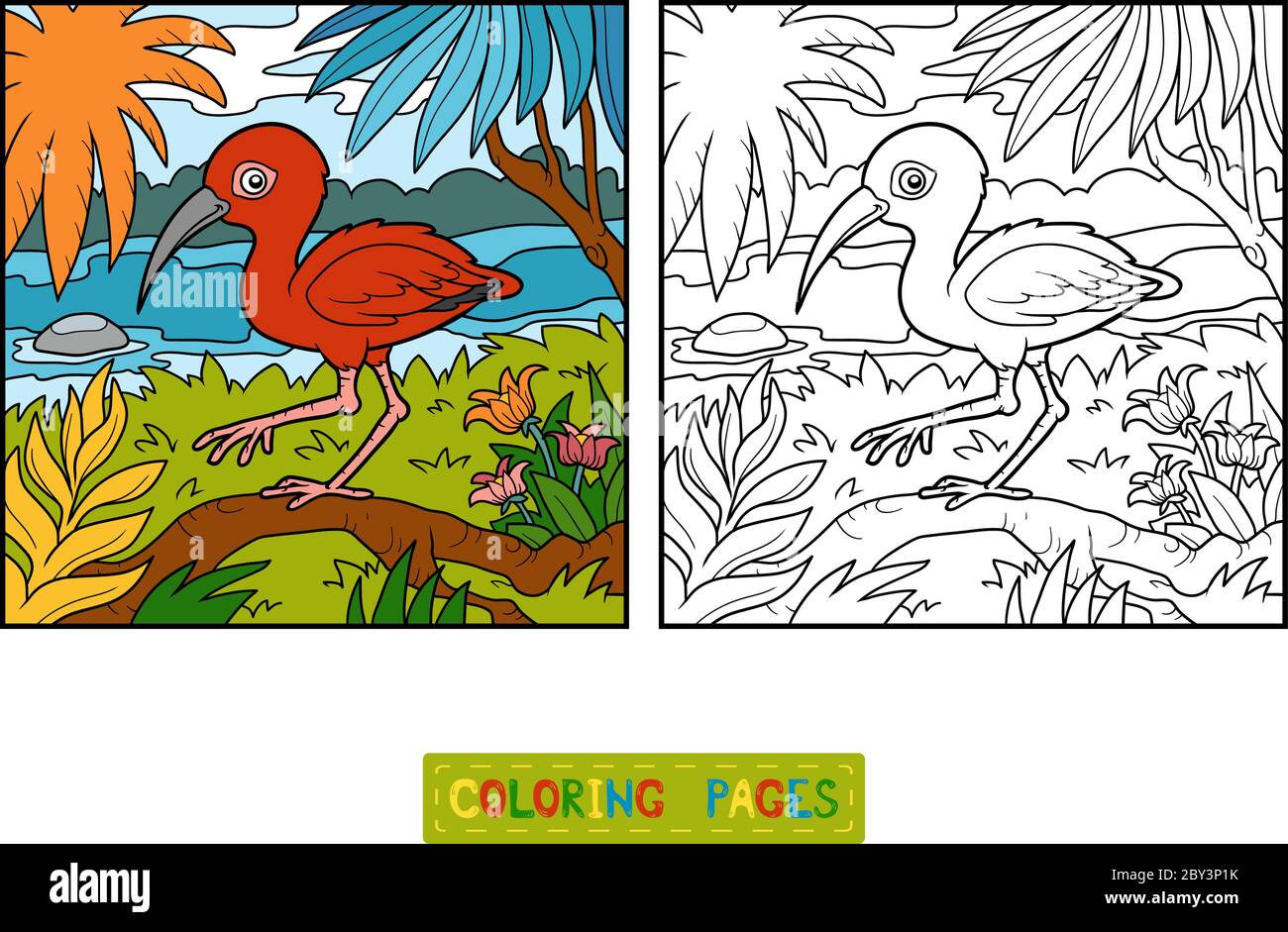 Coloring Book For Children Scarlet Ibis And Background Stock Vector Image Art Alamy
