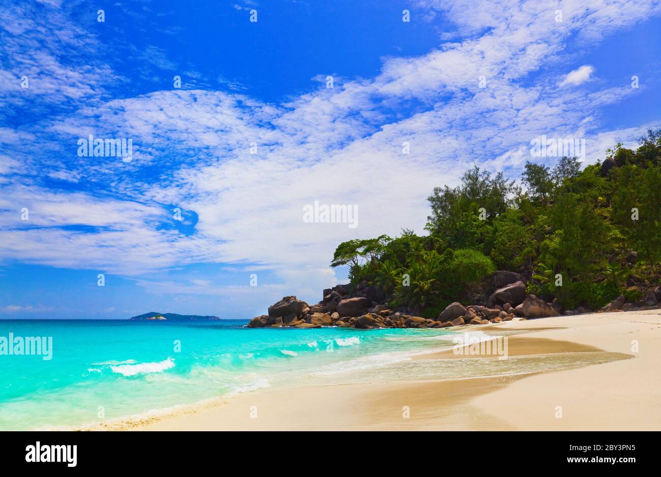 Caribbean island beach surf jungle hi-res stock photography and images ...