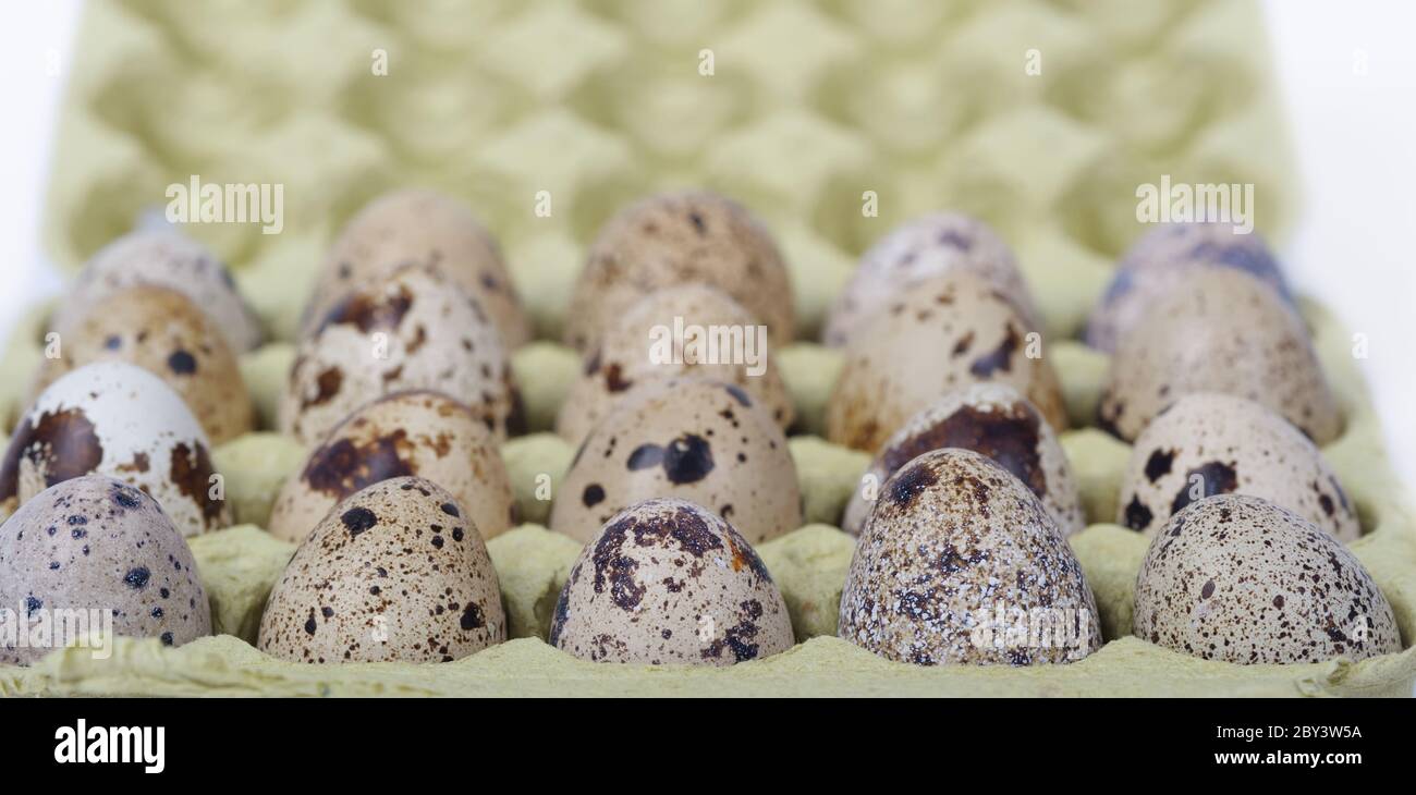 Eggs in package Stock Photo