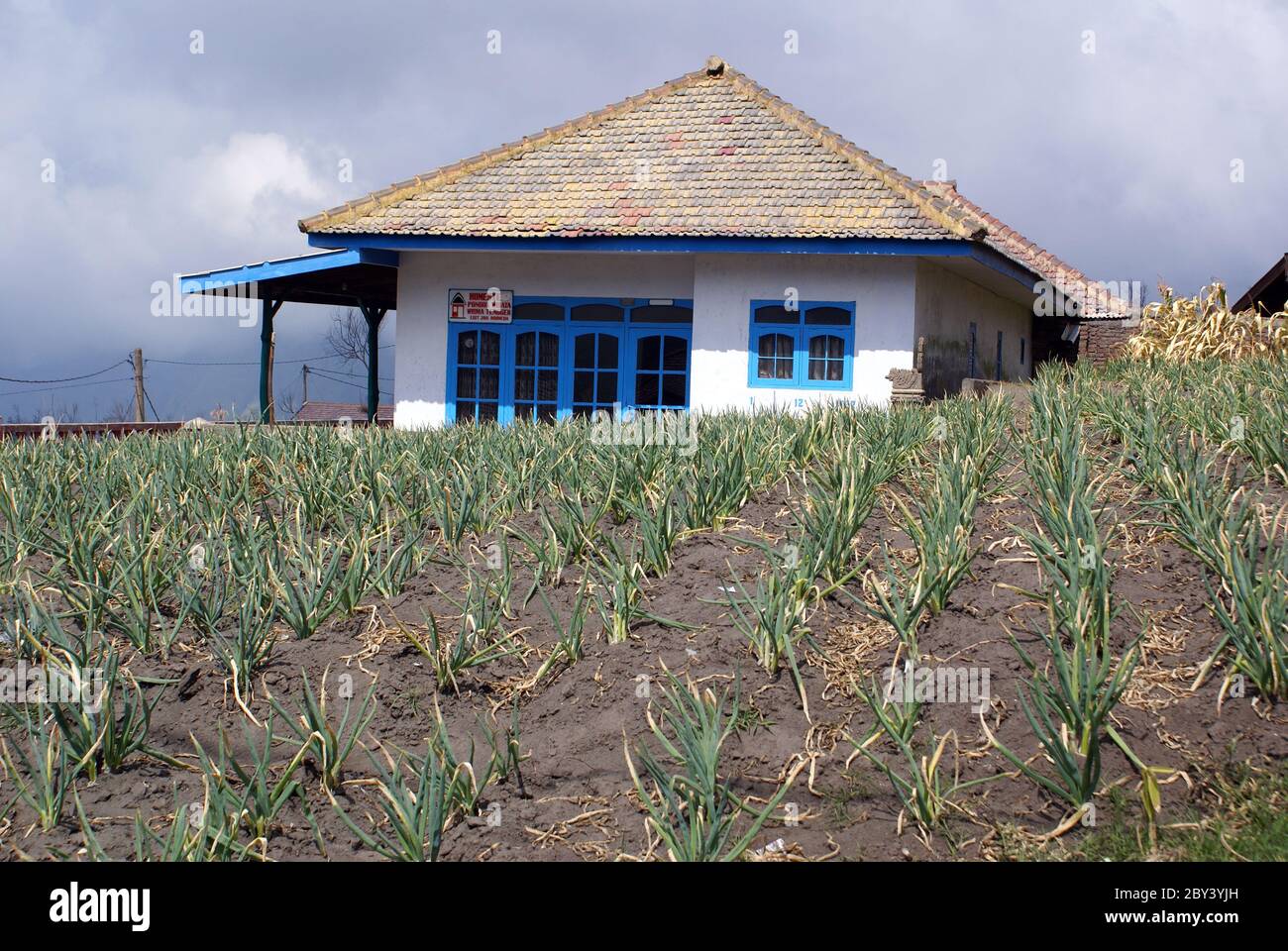 House and onion Stock Photo Alamy
