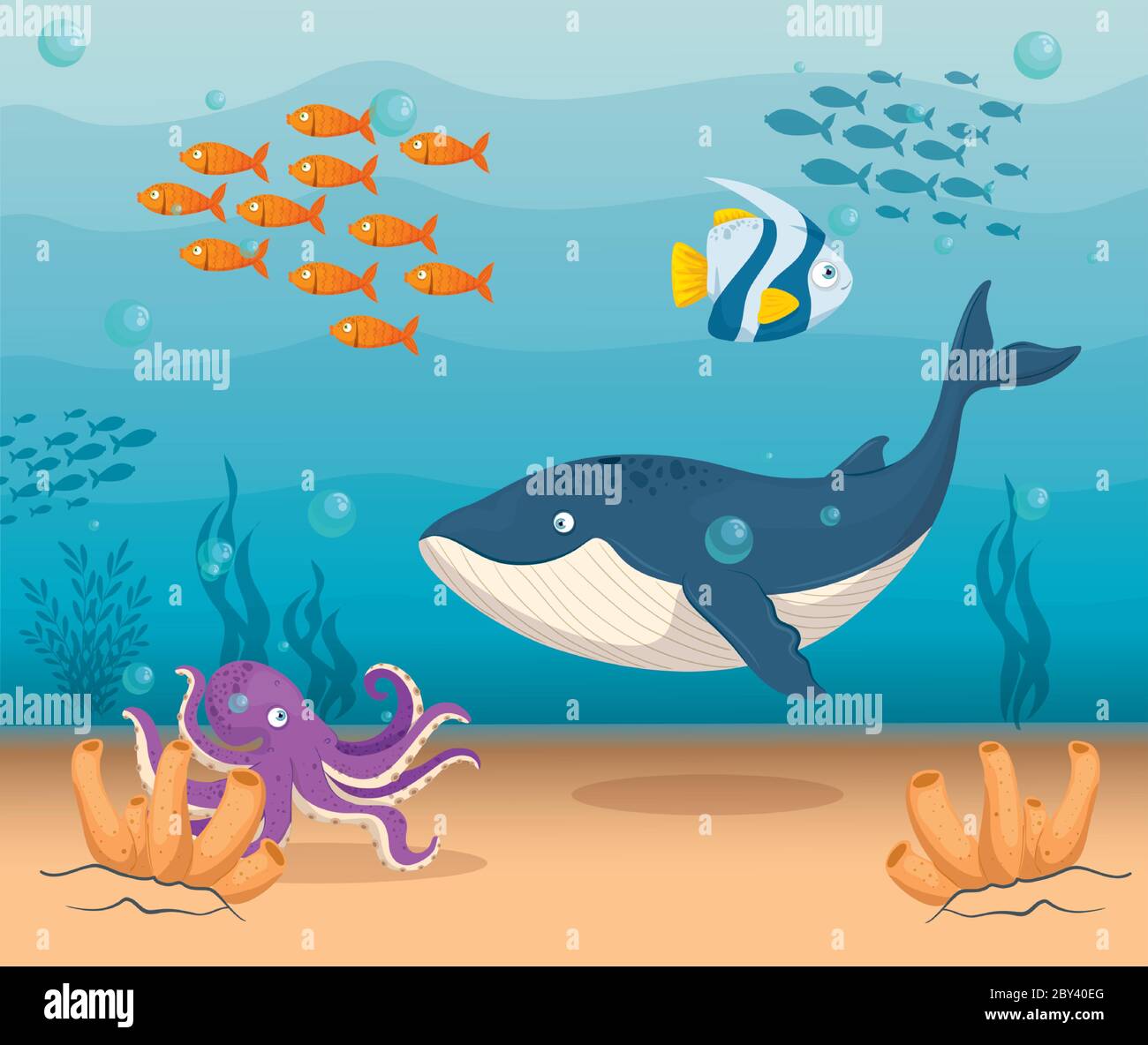 Blue Whales Habitat