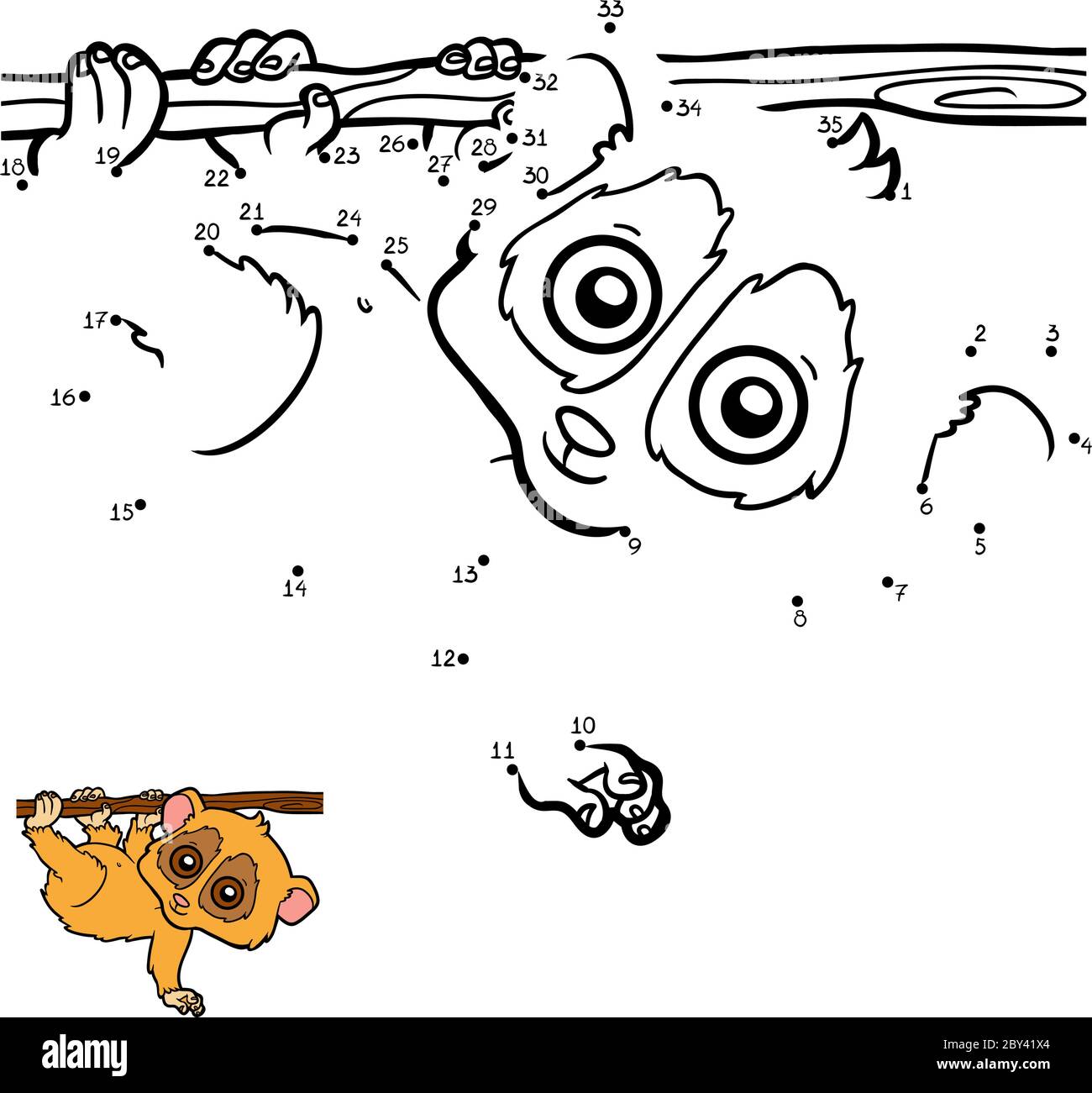 Numbers game, education dot to dot game for children, Pygmy slow loris