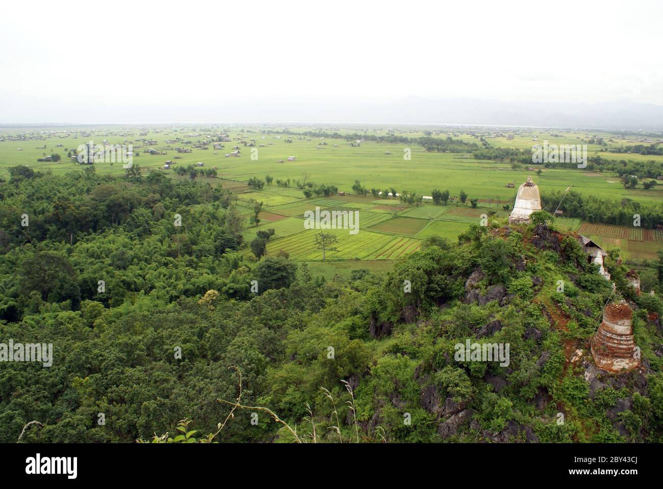 Stupa, forest andd field Stock Photo