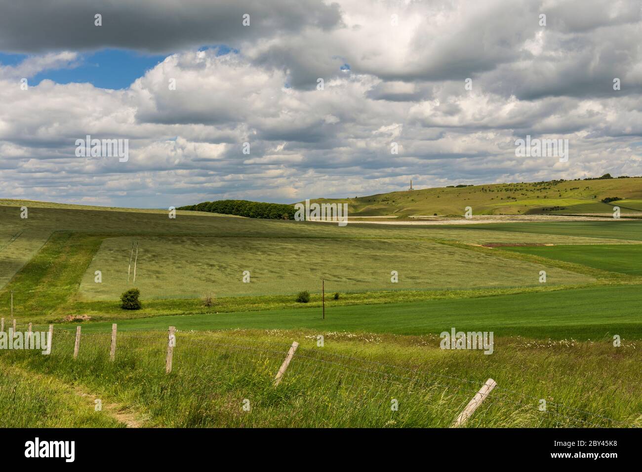 View from Morgans Hill looking towards Lansdowne Monument and Calstone and Cherhill Downs, Wiltshire England, UK. Stock Photo