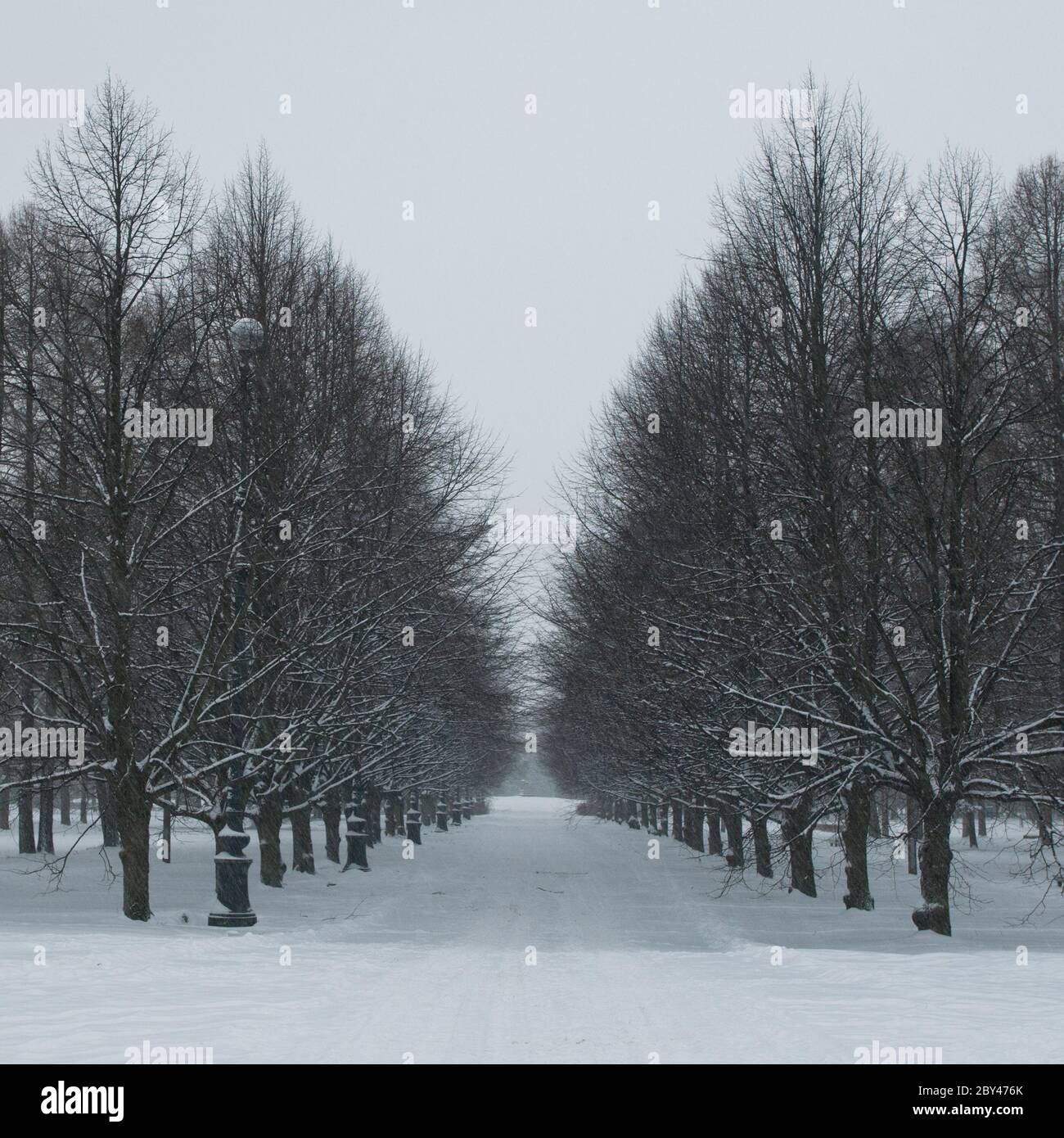 Winter season landscape hi-res stock photography and images - Alamy