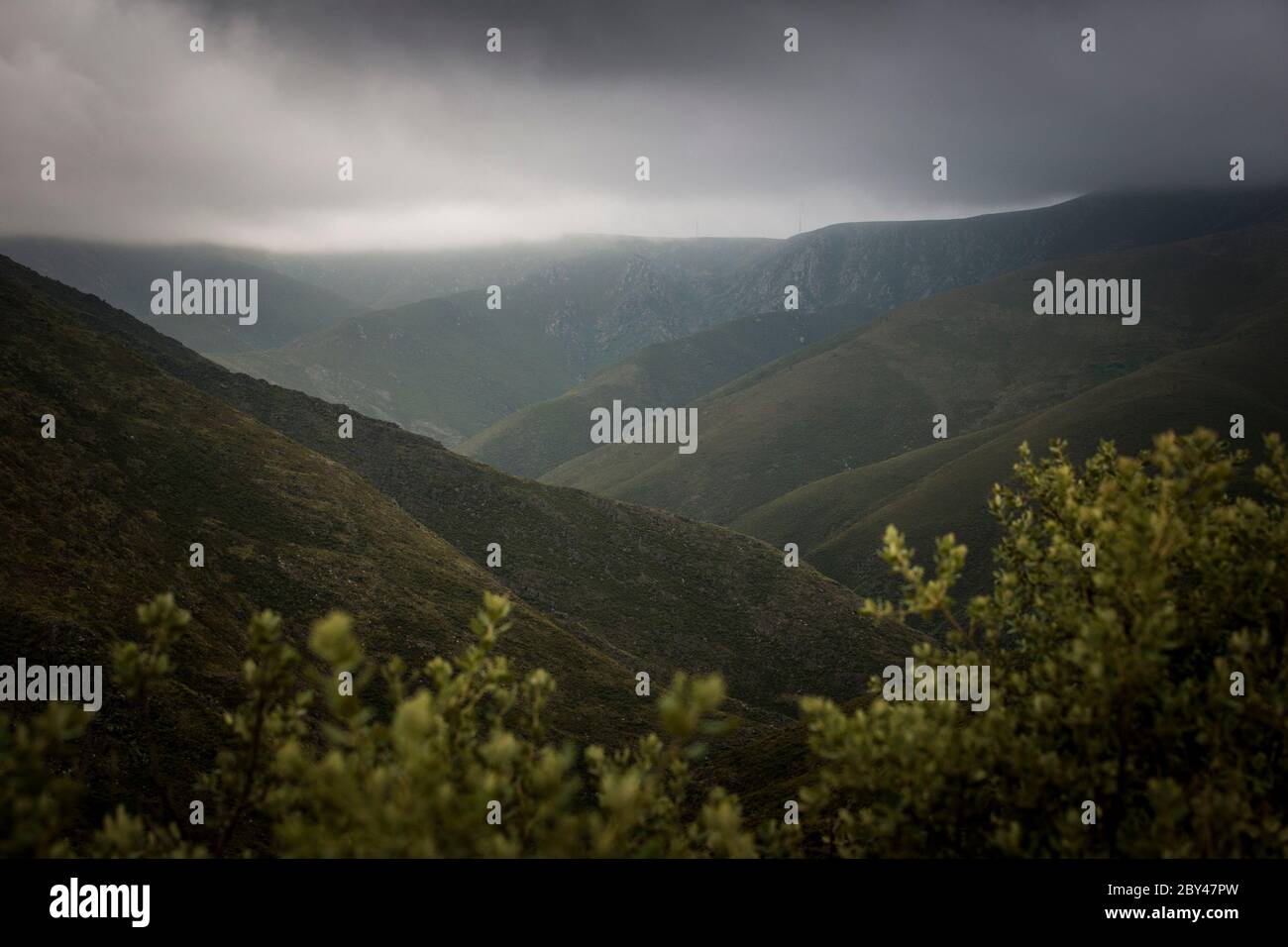 View through the bush vegetation of mountains and valleys landscape in a grey and cloudy weather. Mountain landscape view. Stock Photo