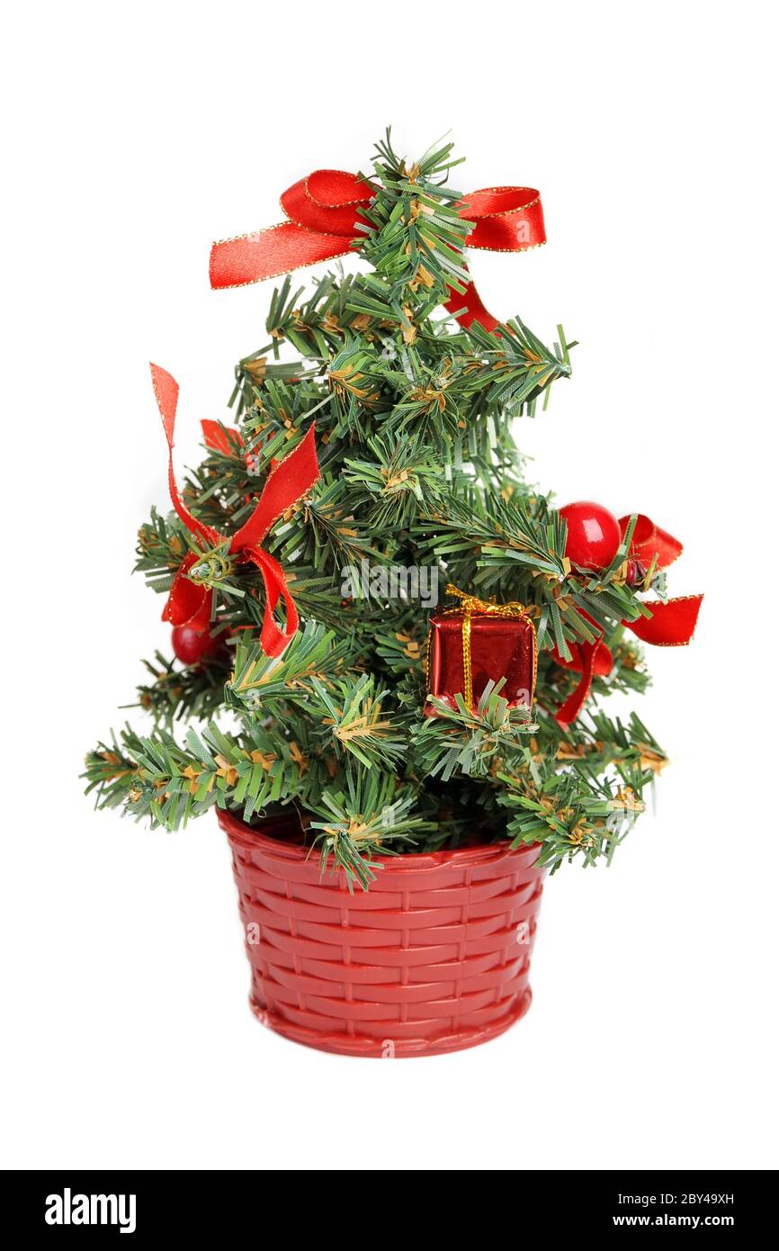 Little Christmas Tree 