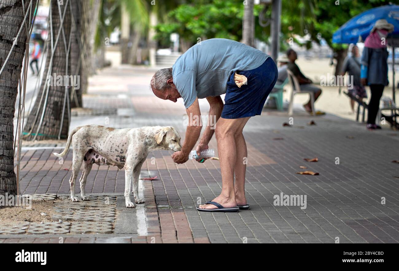 Human animal interaction. Man sharing his bottled water drink with a thirsty street dog. Thailand Southeast Asia Stock Photo