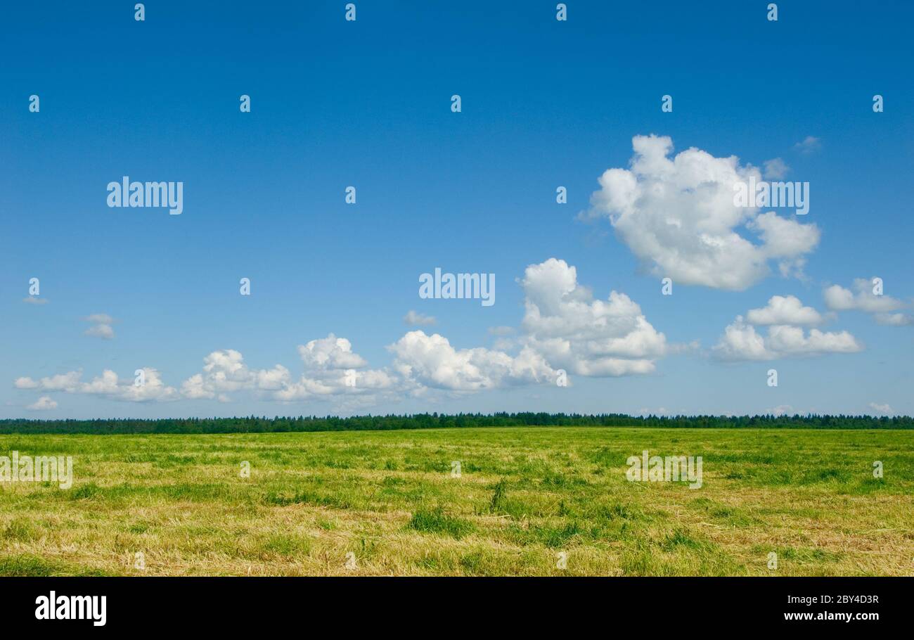 green field and blue cloudy sky background Stock Photo - Alamy