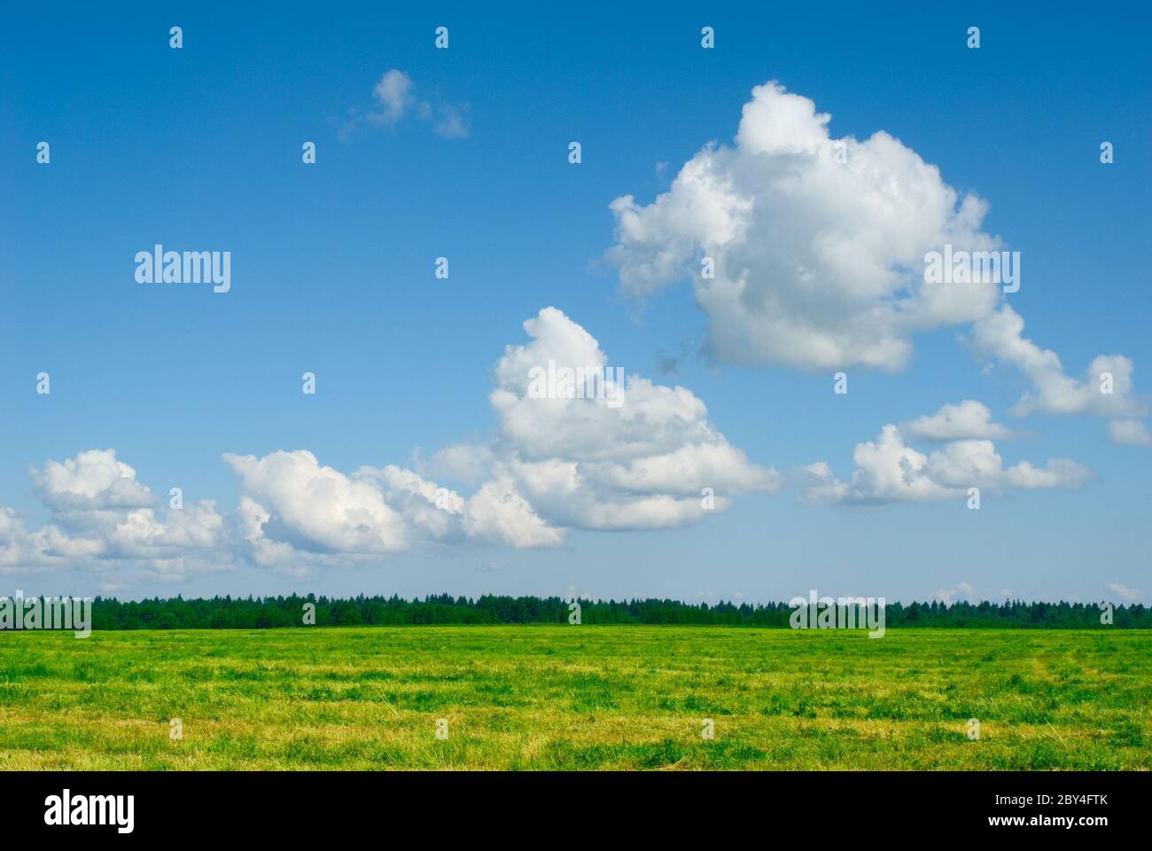 green field and blue cloudy sky background Stock Photo - Alamy