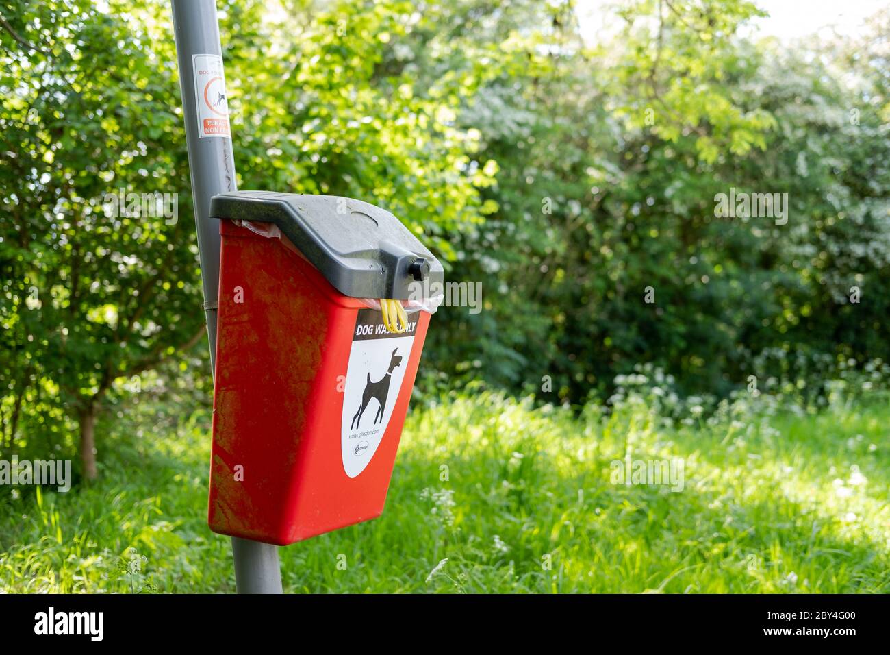 Dog waste bin seen attached to a pole in a public park. The bin is