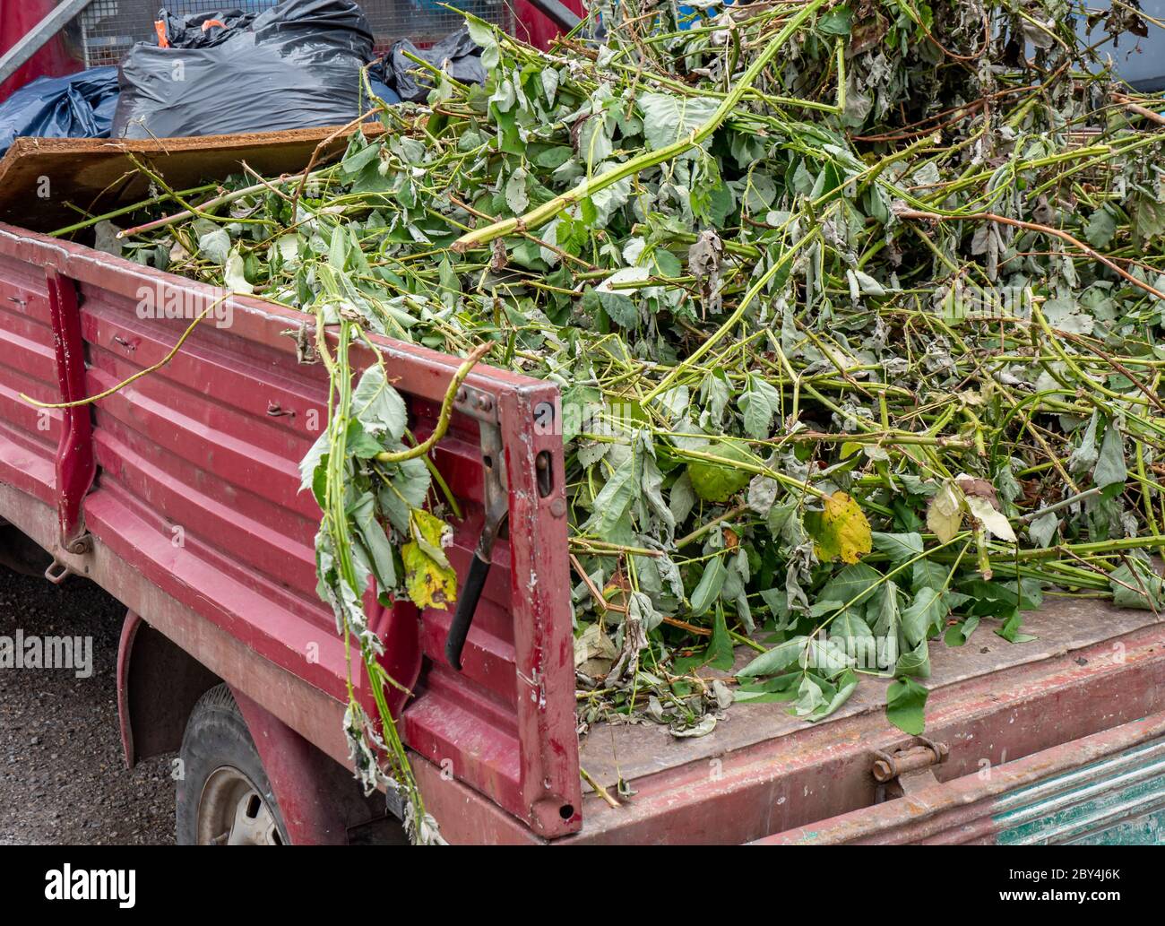 Garden waste on a car Stock Photo