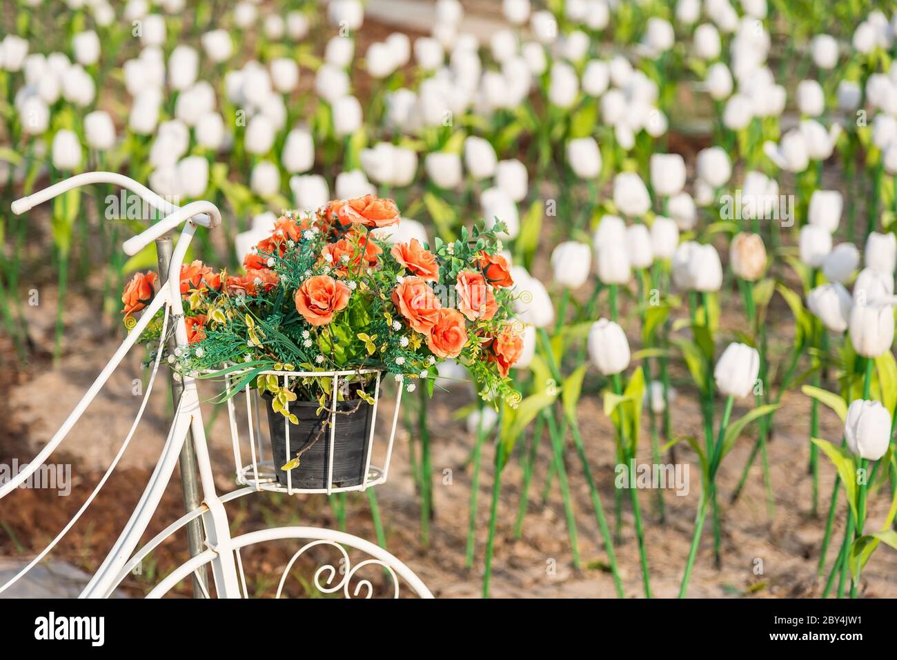Plastic roses hi-res stock photography and images - Alamy