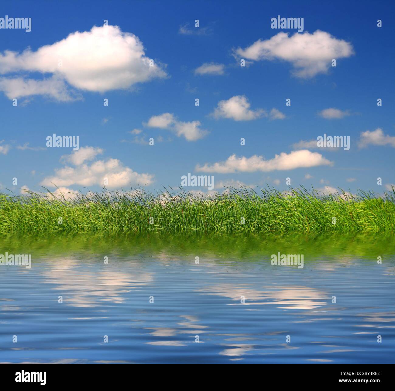 Green grass beautiful blue hi-res stock photography and images - Alamy