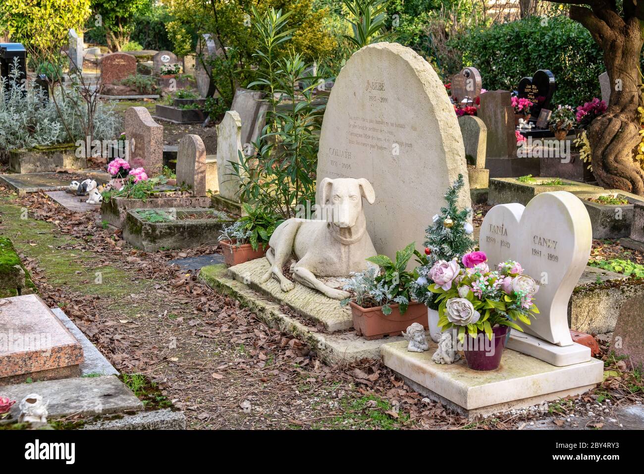 Graves in the pet cemetery of Paris in AsnièressurSeine, France. The