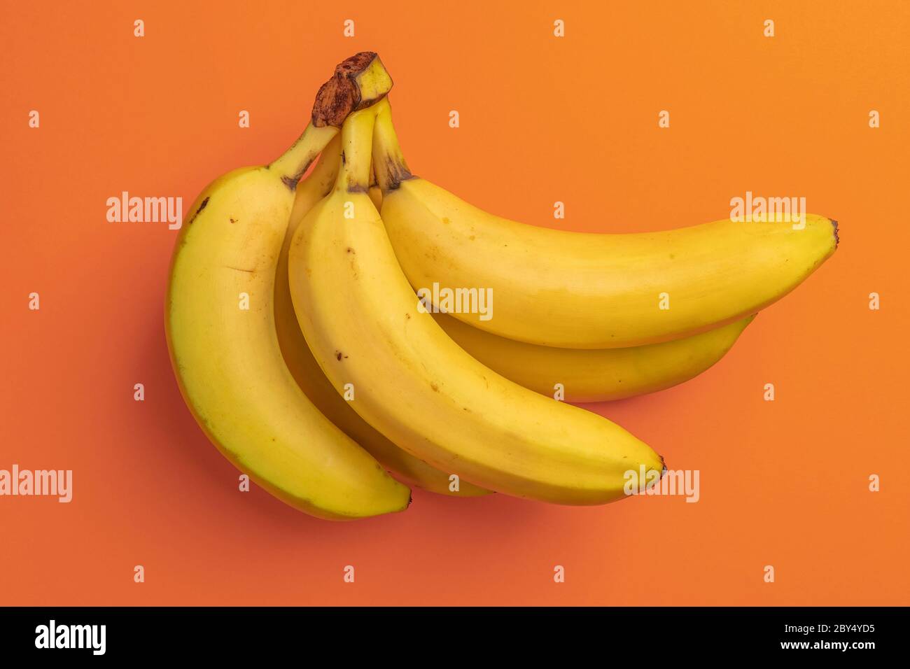 Bunch of ripe bananas on a bright orange background. Spotted overripe ...