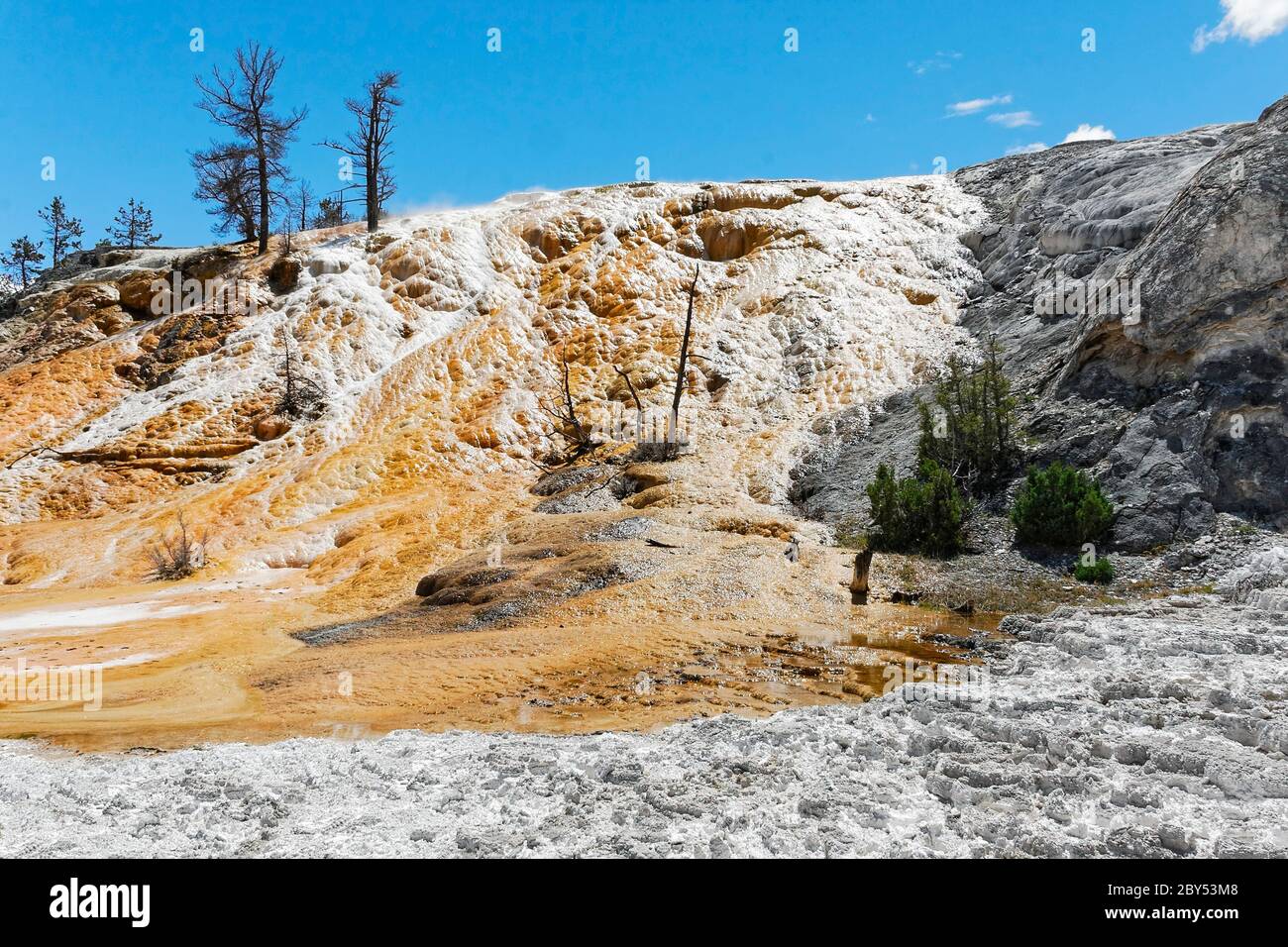 Carbonate Spring Mammoth Hot Spring terraces formed with multicoloured calcium carbonate ...