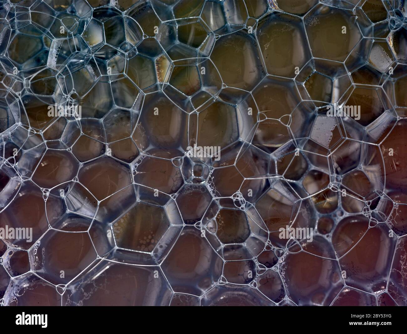 Patterns in bubbles showing the transient internal construction and ...