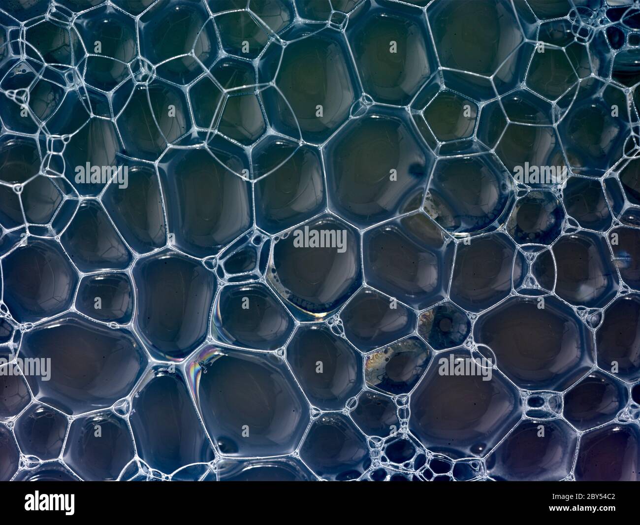 Patterns in bubbles showing the transient internal construction and ...