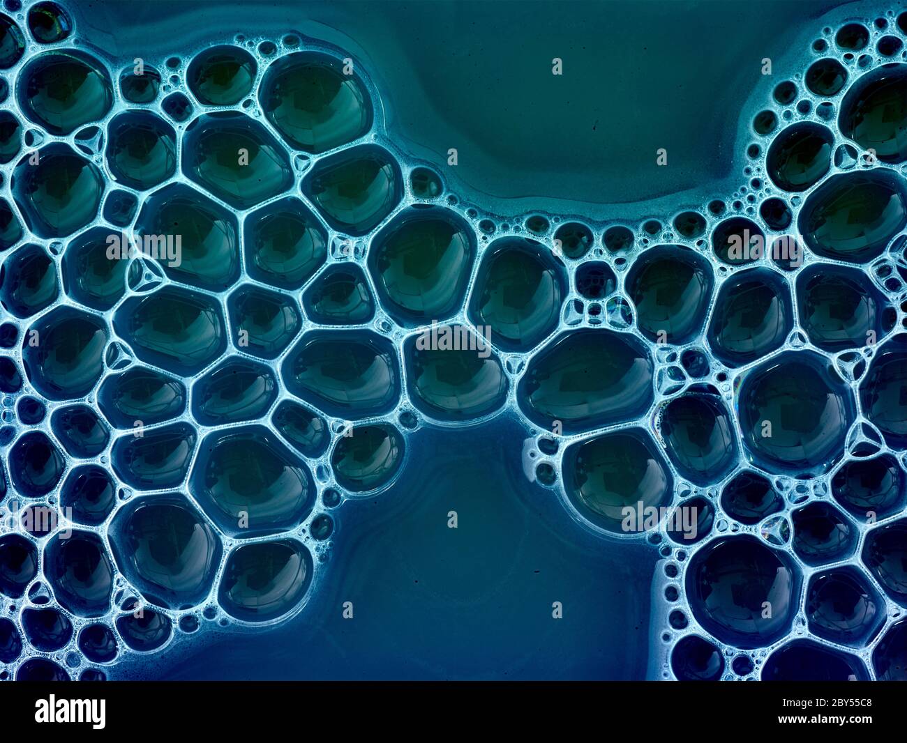 Patterns in bubbles showing the transient internal construction and ...