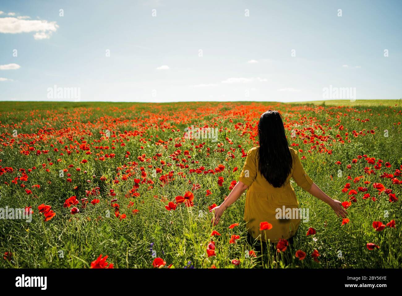 Woman In Poppy Field High Resolution Stock Photography and Images - Alamy