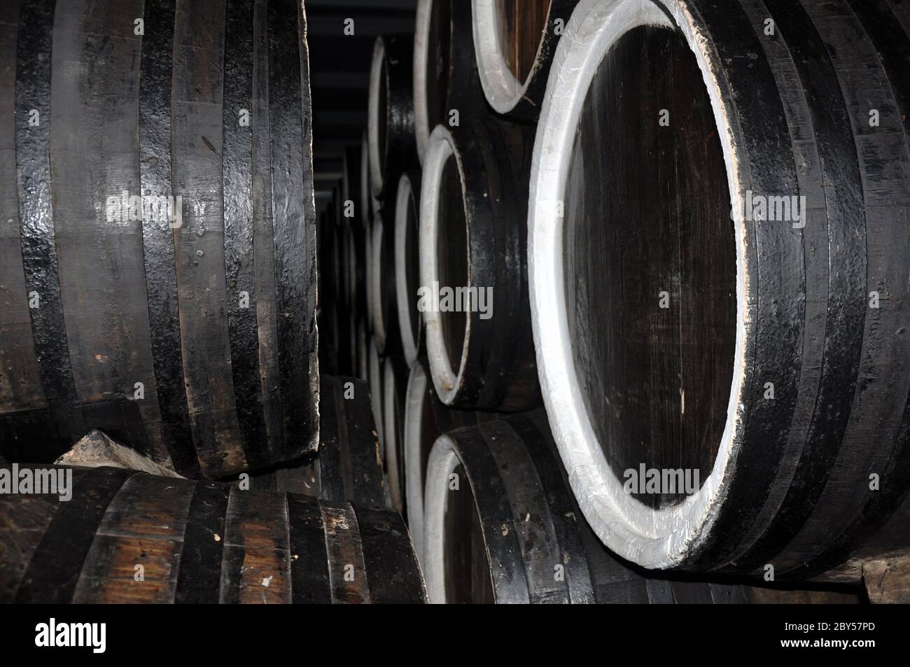 Rows of alcohol barrels in a warehouse of a factory for the production of cognac, whiskey, wine, brandy. Stock Photo