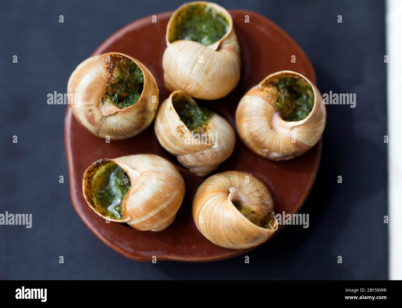 Snails with garlic butter in Dieppe, France. Stock Photo