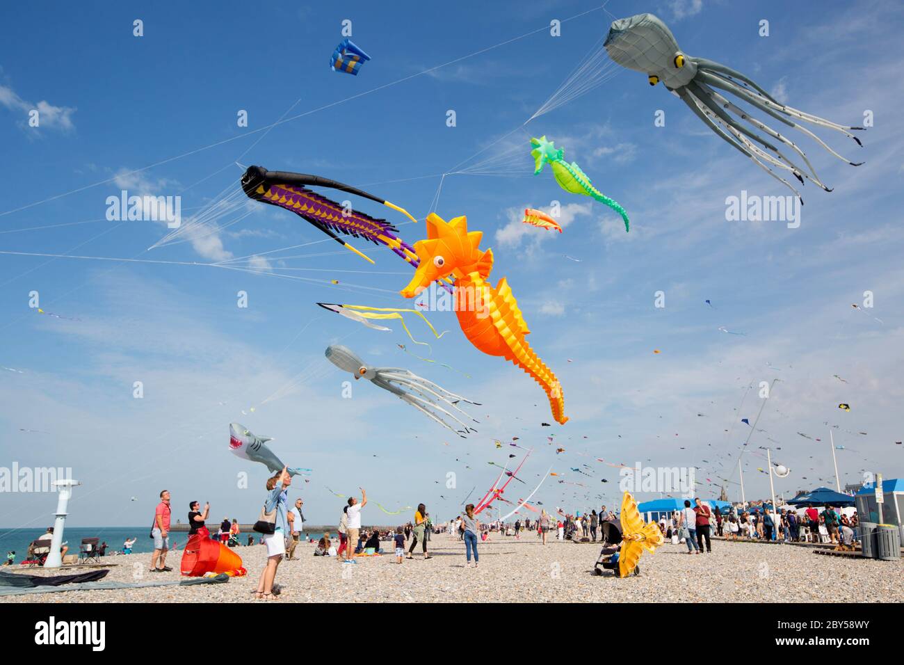 Kites from around the world are flown at the Dieppe Kite Festival